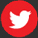 Turkish voice over twitter